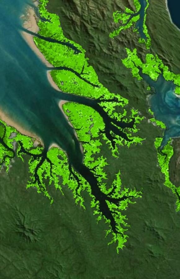 ../../../_images/DEA-mangroves.jpg